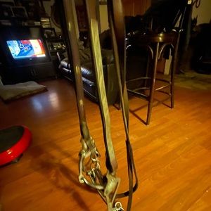 Western horse show bridle